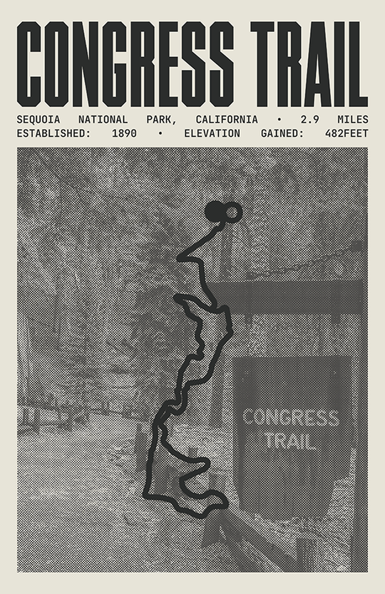 Congress Trail Poster | Sequoia National Park Prints