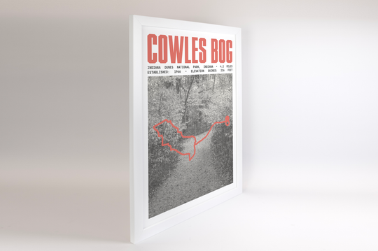 Cowles Bog Trail Poster | Indiana Dunes National Park Prints