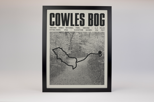 Cowles Bog Trail Poster | Indiana Dunes National Park Prints