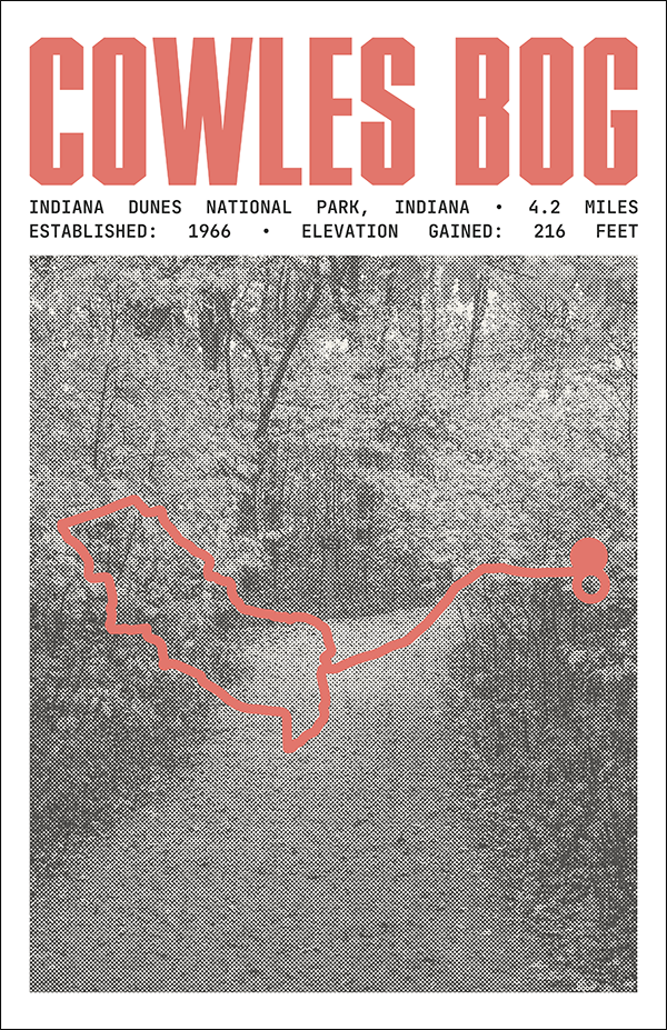 Cowles Bog Trail Poster | Indiana Dunes National Park Prints