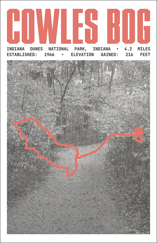 Cowles Bog Trail Poster | Indiana Dunes National Park Prints