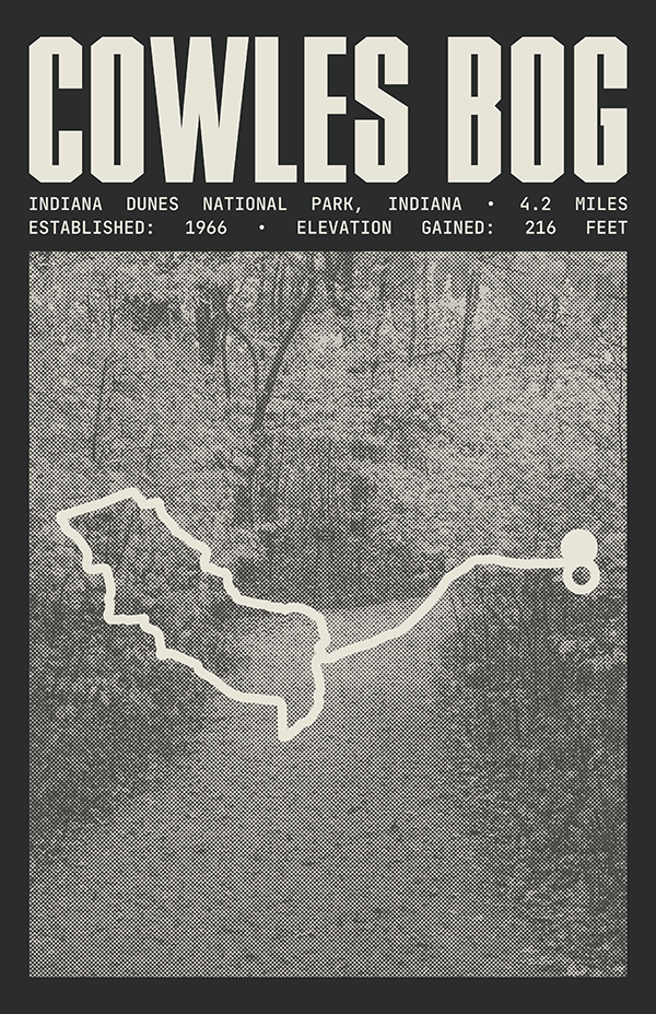 Cowles Bog Trail Poster | Indiana Dunes National Park Prints