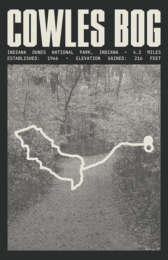 Cowles Bog Trail Poster | Indiana Dunes National Park Prints