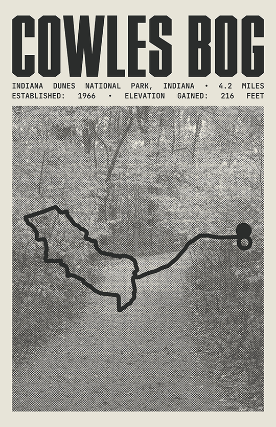 Cowles Bog Trail Poster | Indiana Dunes National Park Prints