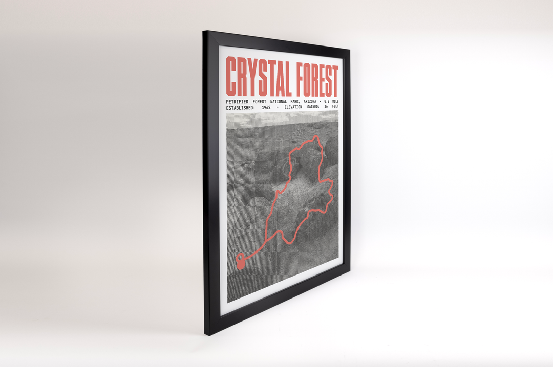 Crystal Forest Trail Poster | Petrified Forest National Park Prints