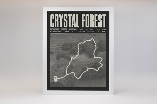 Crystal Forest Trail Poster | Petrified Forest National Park Prints