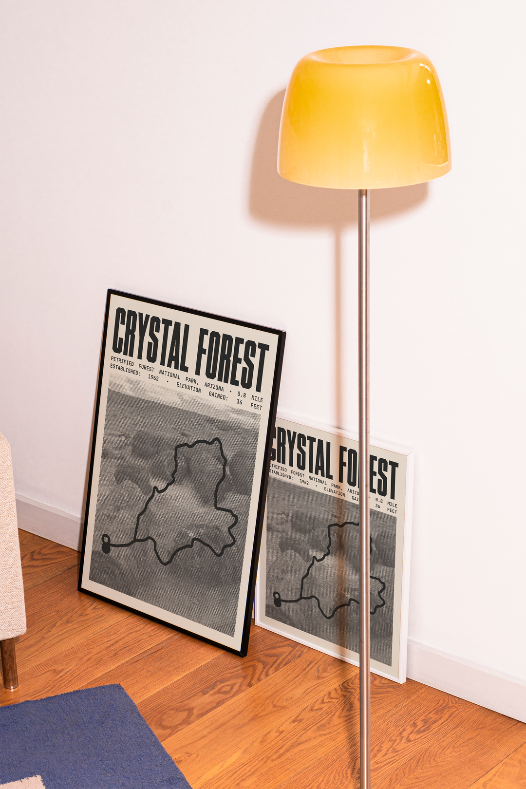 Crystal Forest Trail Poster | Petrified Forest National Park Prints