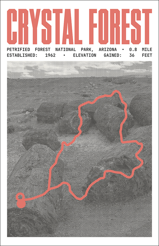 Crystal Forest Trail Poster | Petrified Forest National Park Prints