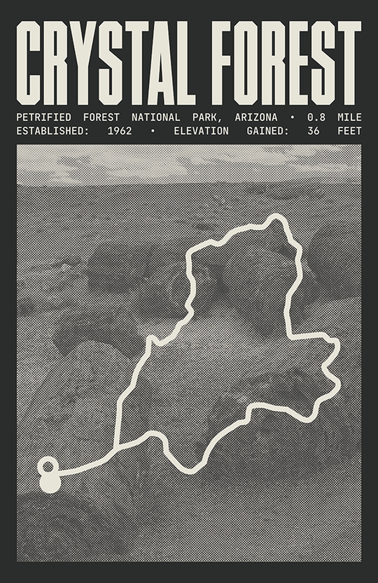 Crystal Forest Trail Poster | Petrified Forest National Park Prints