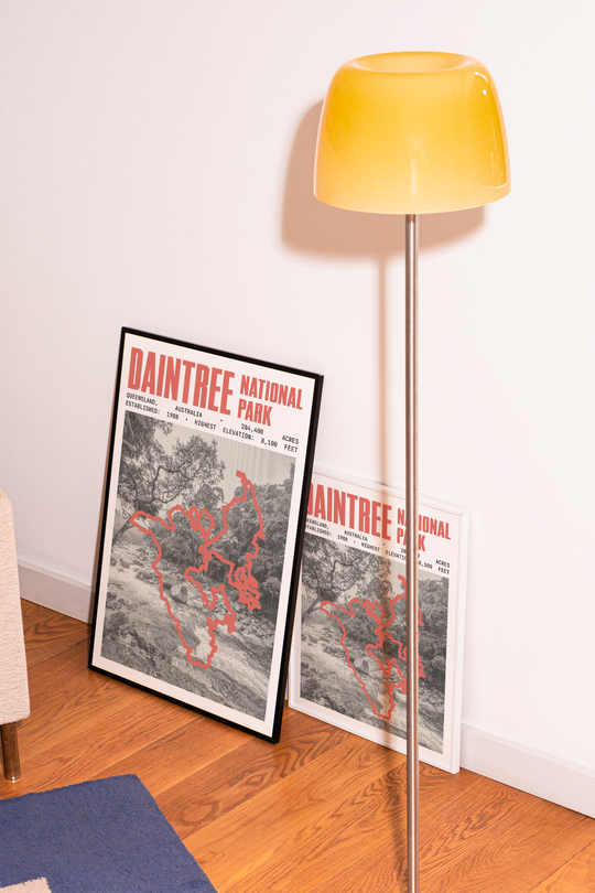 Daintree National Park Poster
