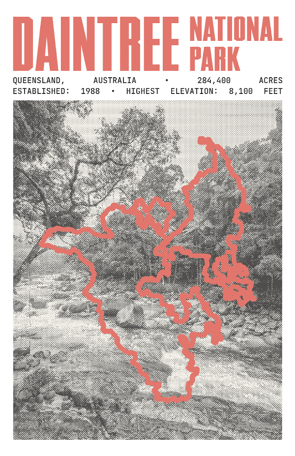 Daintree National Park Poster
