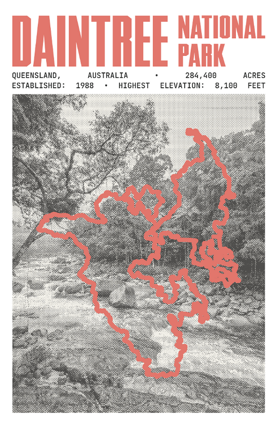 Daintree National Park Poster