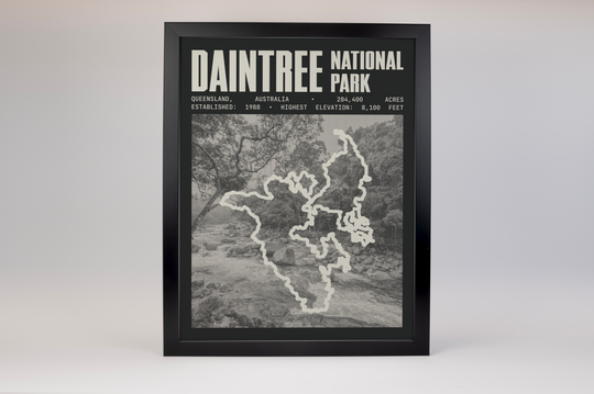 Daintree National Park Poster