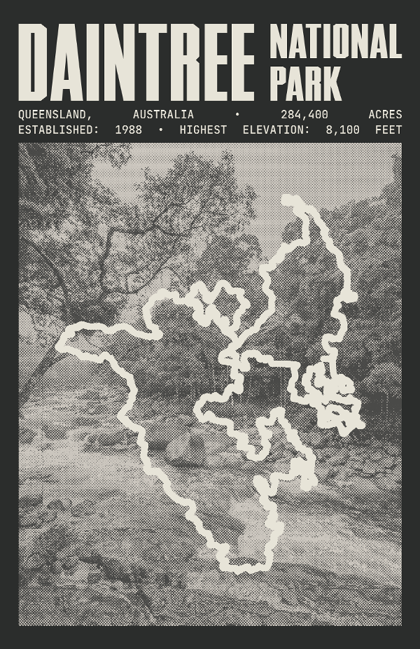 Daintree National Park Poster