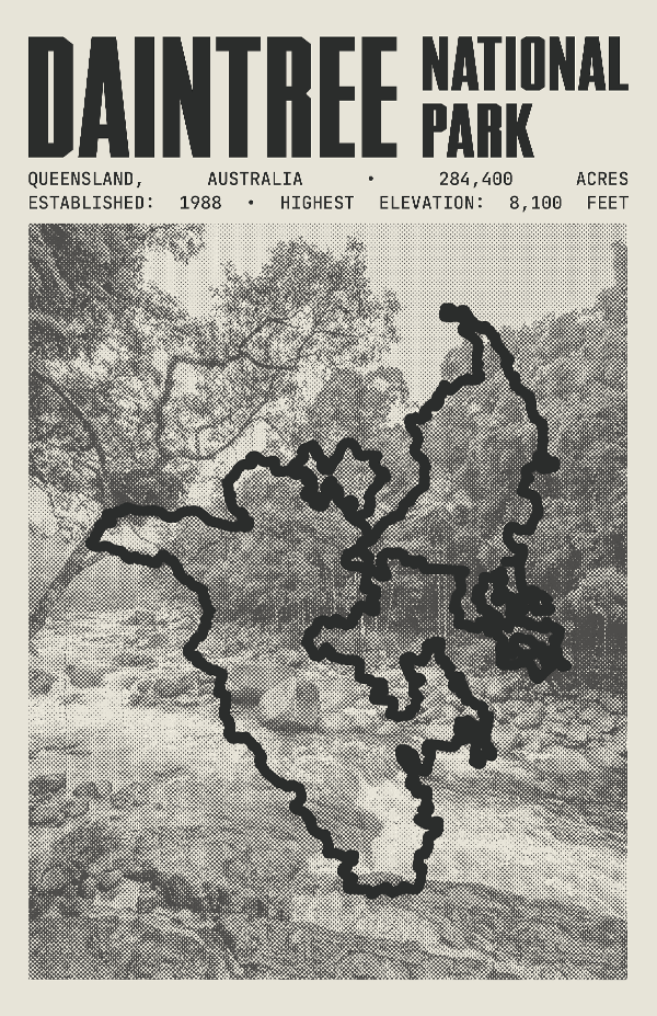 Daintree National Park Poster