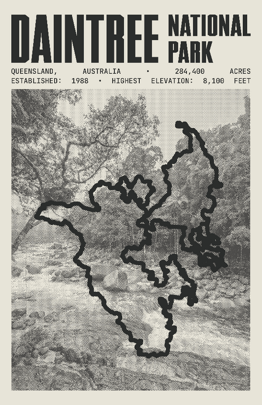 Daintree National Park Poster