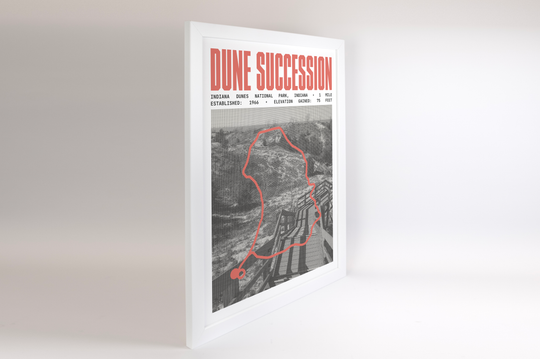 Dune Succession Trail Poster | Indiana Dunes National Park Prints