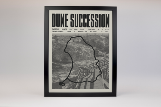 Dune Succession Trail Poster | Indiana Dunes National Park Prints