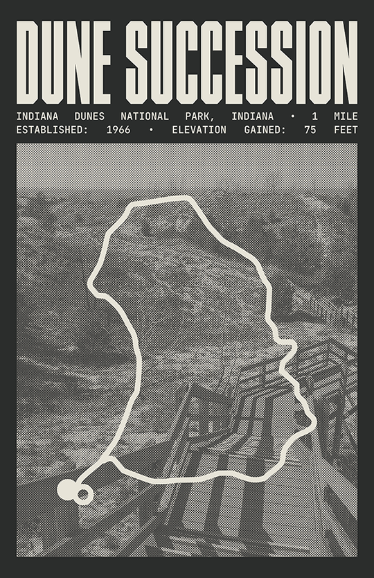 Dune Succession Trail Poster | Indiana Dunes National Park Prints