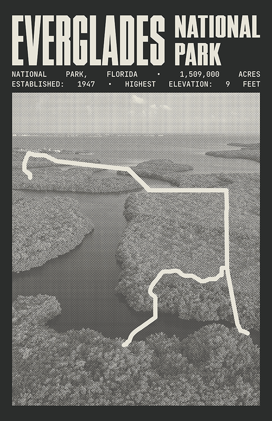 Everglades National Park Poster