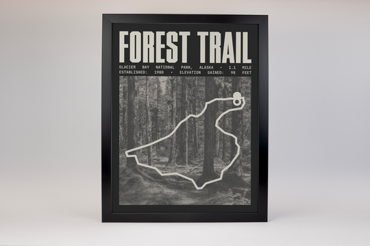 Forest Trail Poster | Glacier Bay National Park Prints