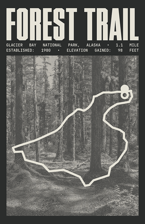 Forest Trail Poster | Glacier Bay National Park Prints