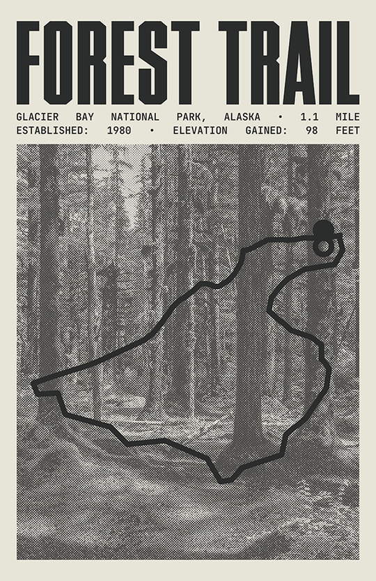 Forest Trail Poster | Glacier Bay National Park Prints