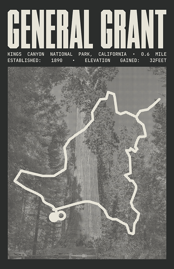 General Grant Trail Poster | Kings Canyon National Prints