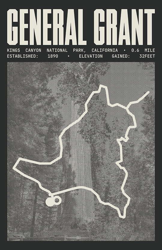 General Grant Trail Poster | Kings Canyon National Prints