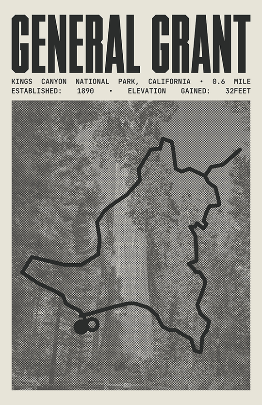 General Grant Trail Poster | Kings Canyon National Prints
