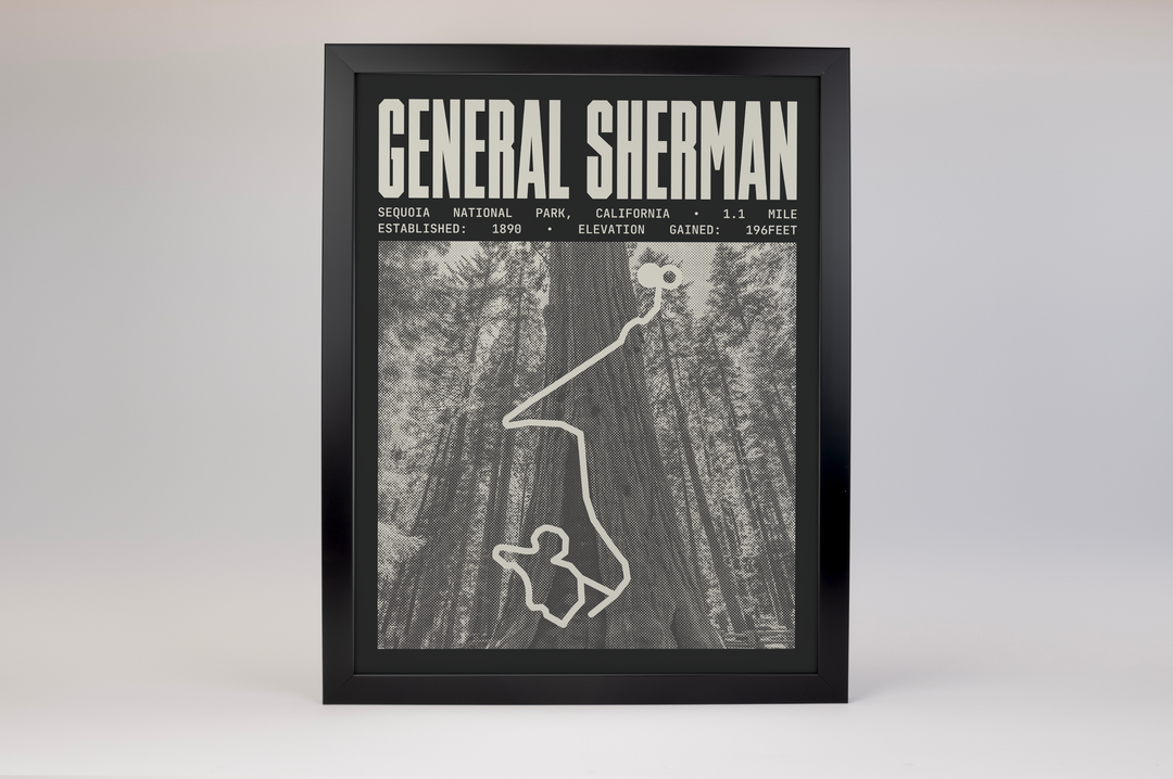 General Sherman Tree Trail Poster | Sequoia National Park Prints