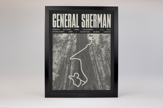 General Sherman Tree Trail Poster | Sequoia National Park Prints