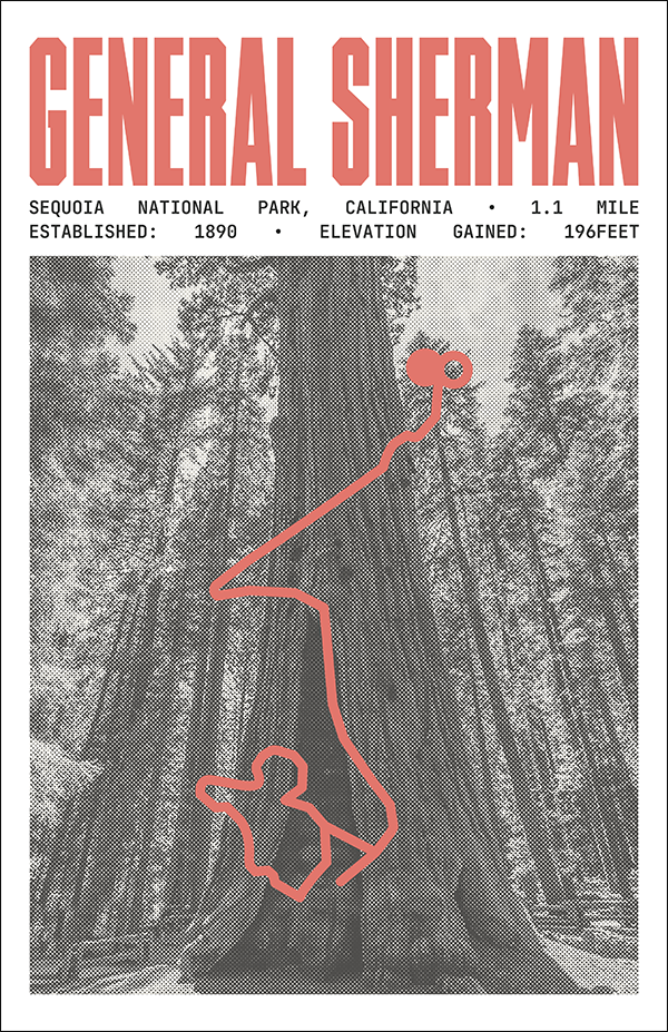 General Sherman Tree Trail Poster Sequoia National Park Prints