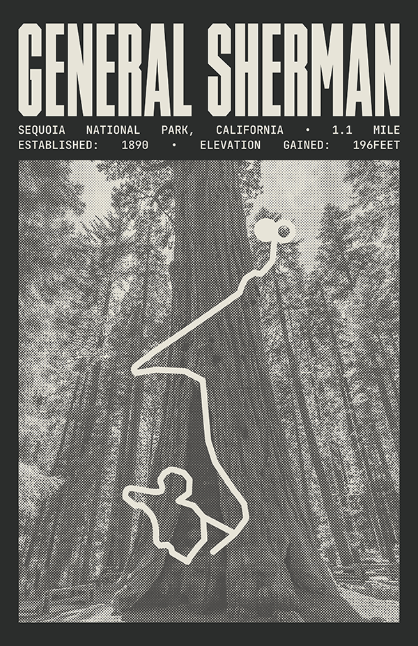 General Sherman Tree Trail Poster | Sequoia National Park Prints