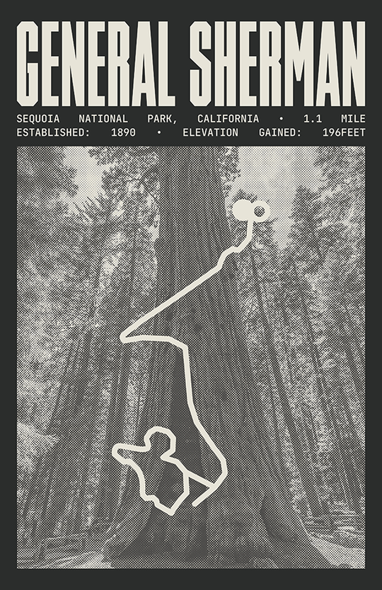 General Sherman Tree Trail Poster | Sequoia National Park Prints