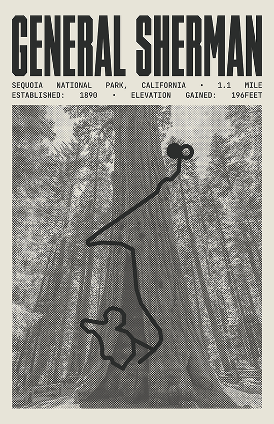 General Sherman Tree Trail Poster | Sequoia National Park Prints