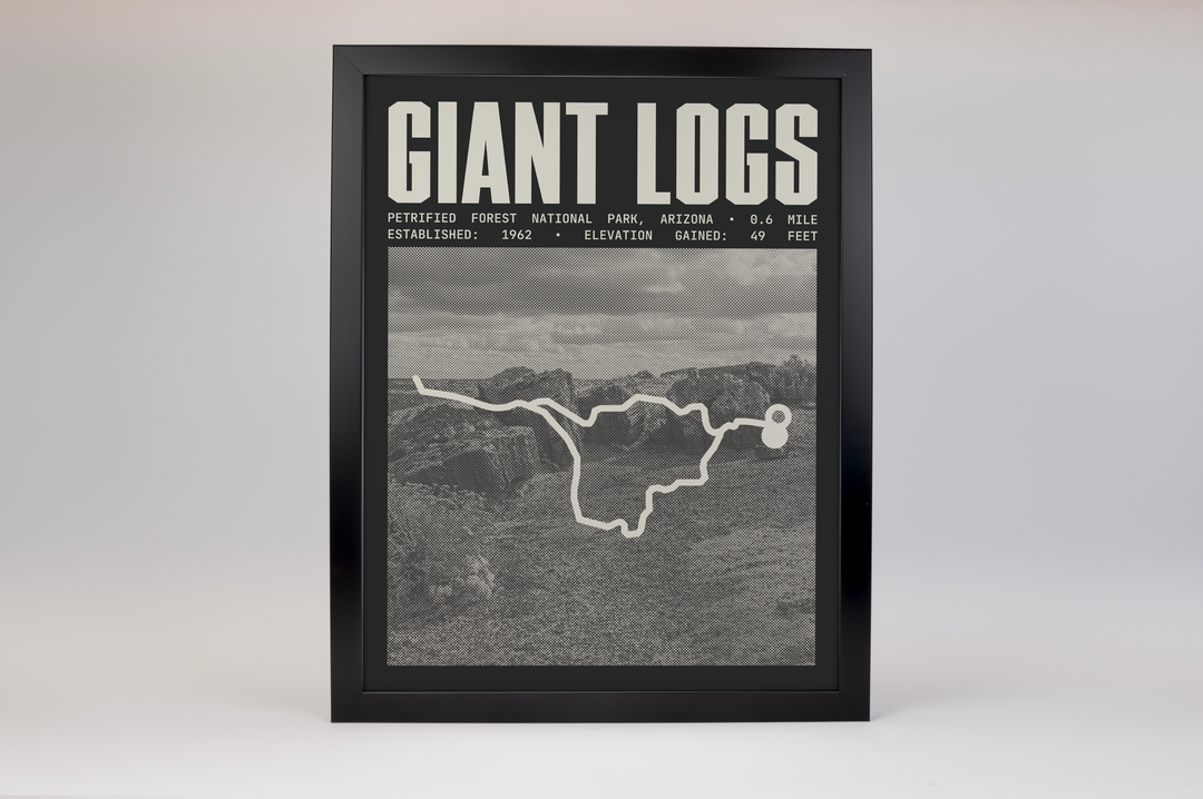 Giant Logs Trail Poster | Petrified Forest National Park Prints