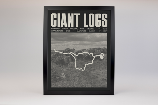 Giant Logs Trail Poster | Petrified Forest National Park Prints