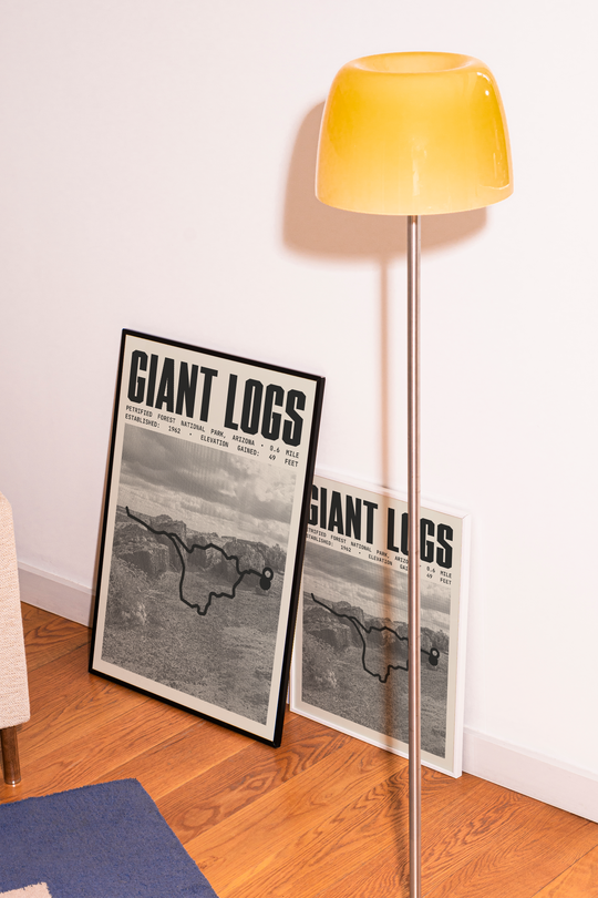 Giant Logs Trail Poster | Petrified Forest National Park Prints