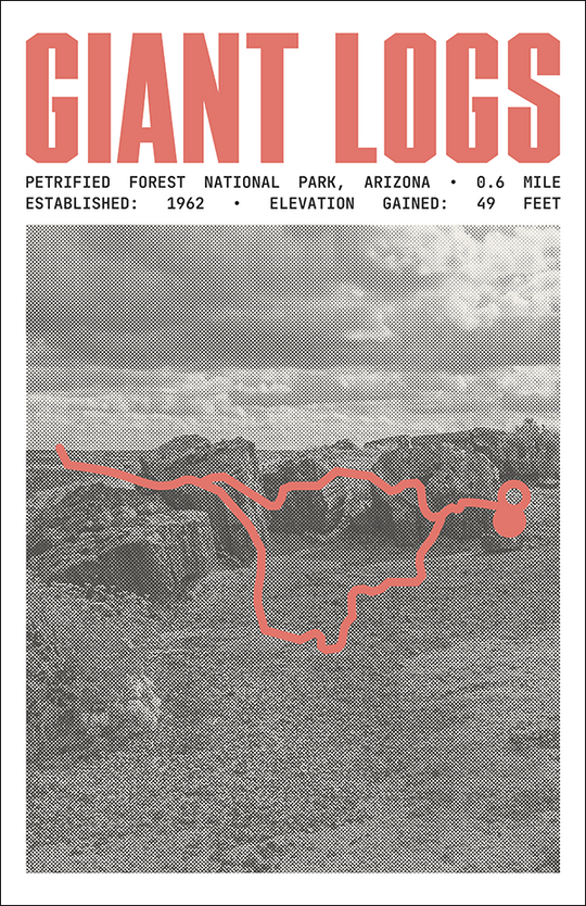 Giant Logs Trail Poster | Petrified Forest National Park Prints