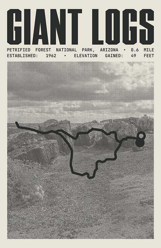 Giant Logs Trail Poster | Petrified Forest National Park Prints