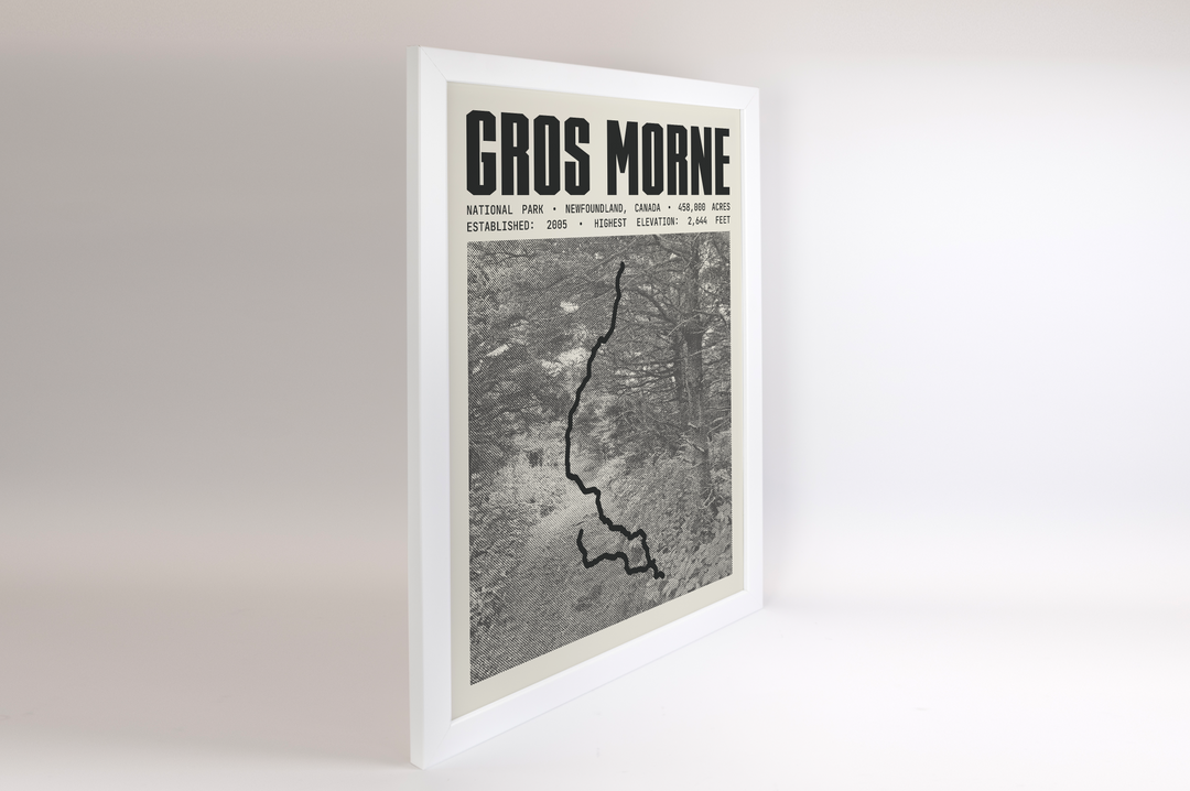 Gros Morne National Park Poster