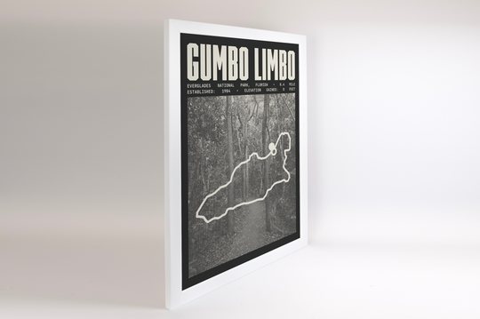 Gumbo Limbo Trail Poster | Everglades National Park Prints