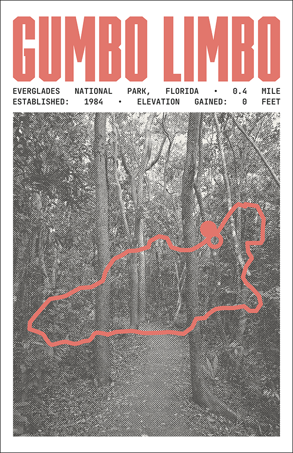 Gumbo Limbo Trail Poster | Everglades National Park Prints