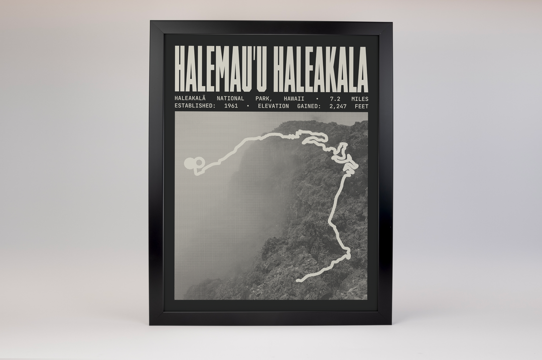 Halemau'u Haleakala Overlook Trail Poster | Haleakalā National Park Prints