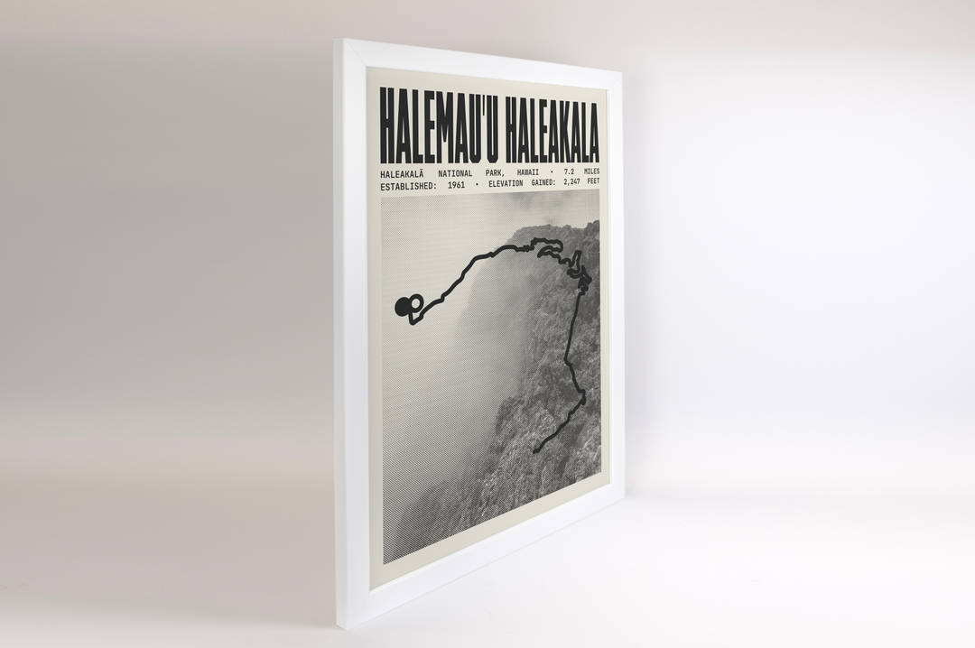 Halemau'u Haleakala Overlook Trail Poster | Haleakalā National Park Prints