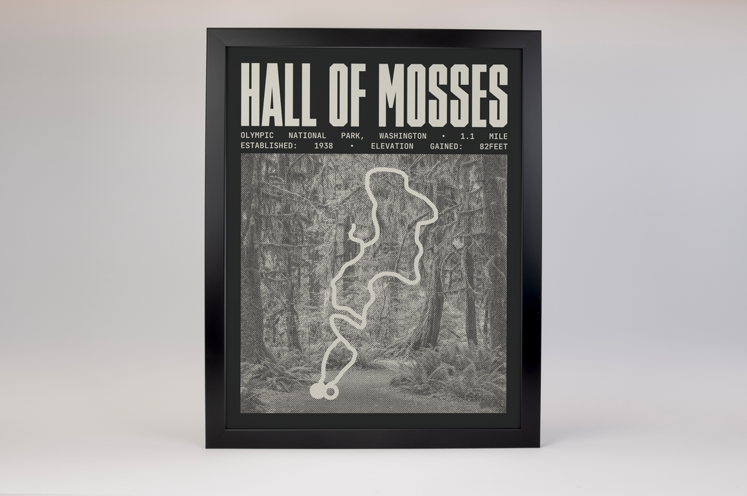 Hall of Mosses Trail Poster | Olympic National Park Prints