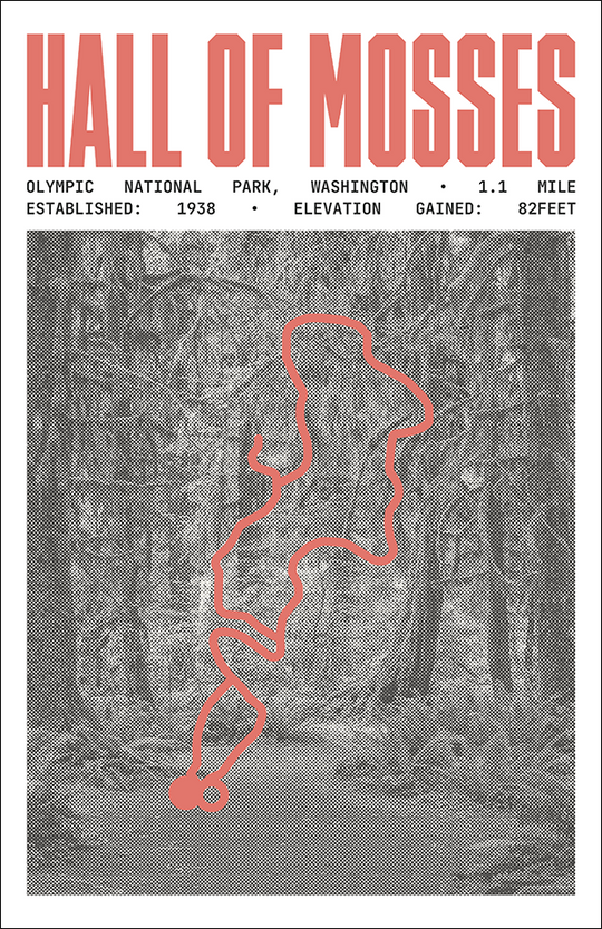 Hall of Mosses Trail Poster | Olympic National Park Prints