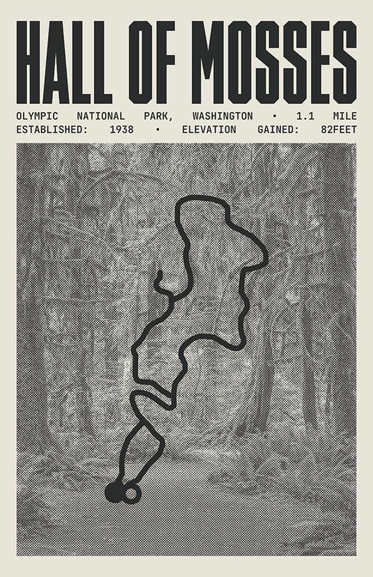 Hall of Mosses Trail Poster | Olympic National Park Prints