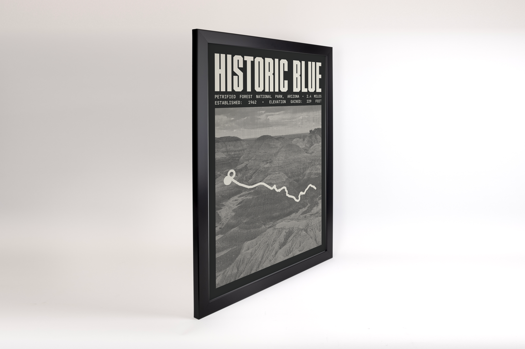 Historic Blue Forest Trail Poster | Petrified Forest National Park Prints